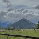 대요농장 이미지