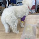 양원주동물병원 이미지