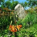 대연수목전시원 이미지