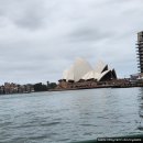 (주)더좋은날 | 12월 초등 아이와 시드니 여행 2일차｜타롱가주 동물원 후기 &amp; 와일드 로프 강추