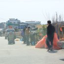 다리목농장 티스토리