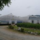 진해기술지원과(진해농업기술센터) 이미지