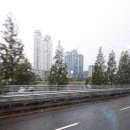 미스사이공성남점 이미지