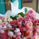 로사넬라