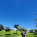 파주출판단지 근린공원(2) | 숑숑이와 여름의 끝자락에서(ft.파주 출판단지 근린공원)