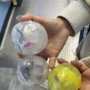 뽑아볼깡 이미지