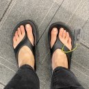 푸하하