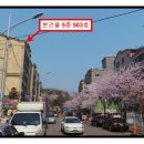 장자북로 네이버블로그