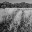 석 농장 이미지