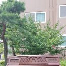성주 유니온빌리지 이미지