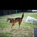 개판살판 이미지