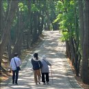 🌿 전등사에서 광성보까지 – 엄마와의 느린 여행, 강화도에서 보낸 하루