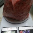 스타켄넬 이미지