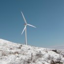 고원목장(2) 이미지