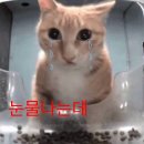 대정로36번길 이미지