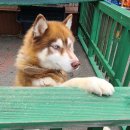 무주그랜드펜션 이미지