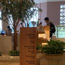 호텔신라제주 | 제주 신라호텔 최저가 예약 꿀팁 부대시설 총정리