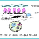보체수산 네이버블로그
