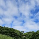황제도 Daum카페