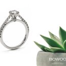 아스테리아 이미지