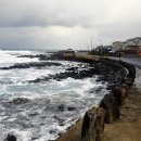 제주 올레길 16코스 이미지