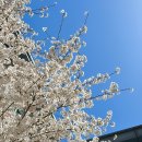 구미연합신경외과의원 이미지