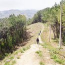 죽촌마을회관 | [장갑수와 함께 걷는 길] 서천 천년솔바람길