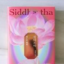 고전소설에서 배우는 삶의태도 | [독서모임] 헤르만 헤세 <싯다르타> 여전히 현재진행형인 고전. 독서모임 후기