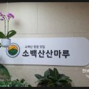 소백산산마루식당 이미지