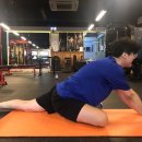 JNFit 네이버블로그
