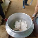 운기네 민박 이미지