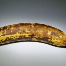 바나나 티스토리