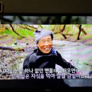 우포우렁이 네이버블로그