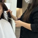 동명헤어라인