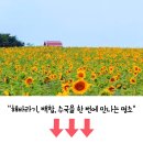 7월 추천 여행지 이미지