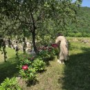 서하체육공원 이미지