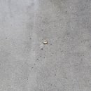 대동셀프세차장 이미지