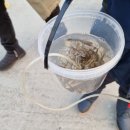 길상농장 이미지