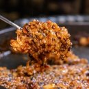 강아지대학로 이미지