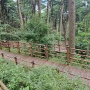 숲향기 목공방 이미지