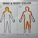 실버요가 | 👉 “60대도 늦지 않습니다 — 버티는 몸에서 자유로운 몸으로, 실버요가 개인레슨 후기”