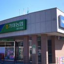 가야농협법수지점 이미지