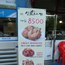 신토바기