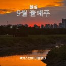 윤씨네사생활 | 9월 둘째주