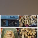 두어마리 이미지