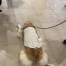 날으는고양이 | 2026년 6월 마무리