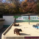 달성공원 이미지