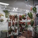 카페 사월오일 이미지