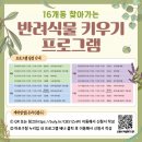 내 마음의 정원, 반려식물 테라피 | 마포구 반려식물 키우기 프로그램 후기 | 원데이 클래스 체험기