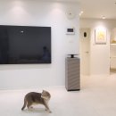 대가게이트볼장 화장실 | 디자이너 신혼부부 20평대 구축 아파트 턴키인테리어 올수리 후기!_비용,꿀팁 정리